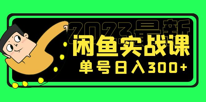 花599买的闲鱼项目：2023最新闲鱼实战课，单号日入300+（7节课）-启航资源站