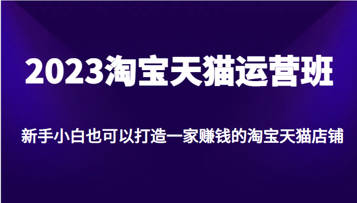 2023淘宝天猫运营班，新手小白也可以打造一家赚钱的淘宝天猫店铺-启航资源站