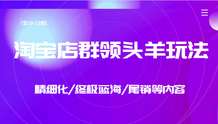 淘宝店群领头羊玩法，精细化/终极蓝海/尾销等内容（第10-12期）-启航资源站