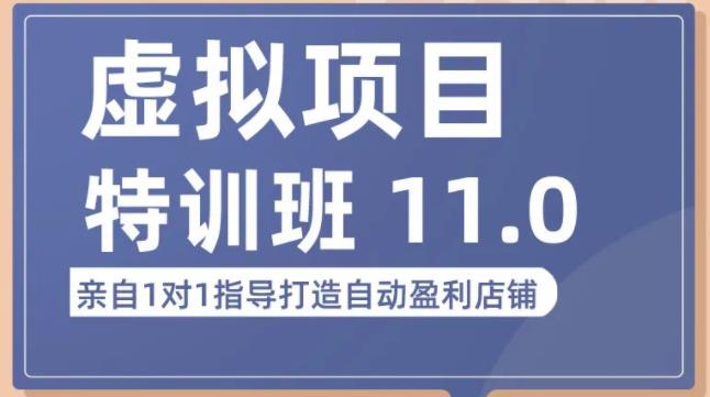 陆明明·虚拟项目特训班（10.0+11.0），0成本获取虚拟素材，0基础打造自动盈利店铺-启航资源站