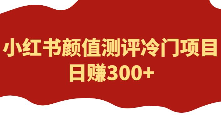 外面1980的项目，小红书颜值测评冷门项目，日赚300+【揭秘】-启航资源站