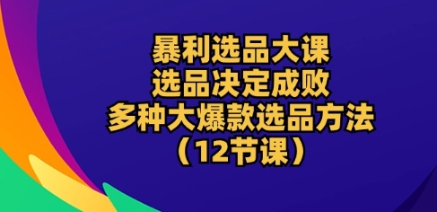 暴利选品大课：选品决定成败，教你多种大爆款选品方法(12节课)-启航资源站