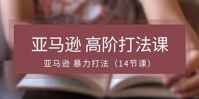 亚马逊高阶打法课，亚马逊暴力打法（14节视频课）-启航资源站