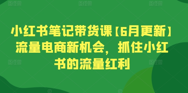 小红书笔记带货课【6月更新】流量电商新机会，抓住小红书的流量红利-启航资源站