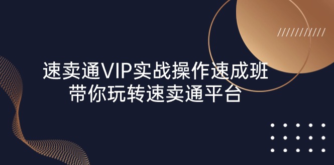 （10935期）速卖通 VIP实战操作-速成班，带你玩转速卖通平台（23节）-启航资源站