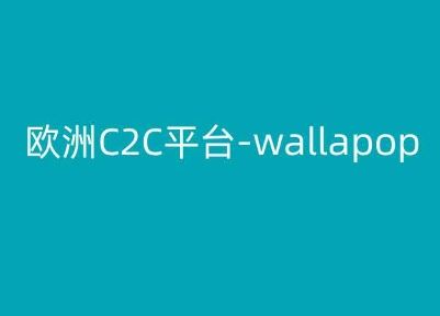 欧洲C2C平台-wallapop-kim跨境电商教程-启航资源站