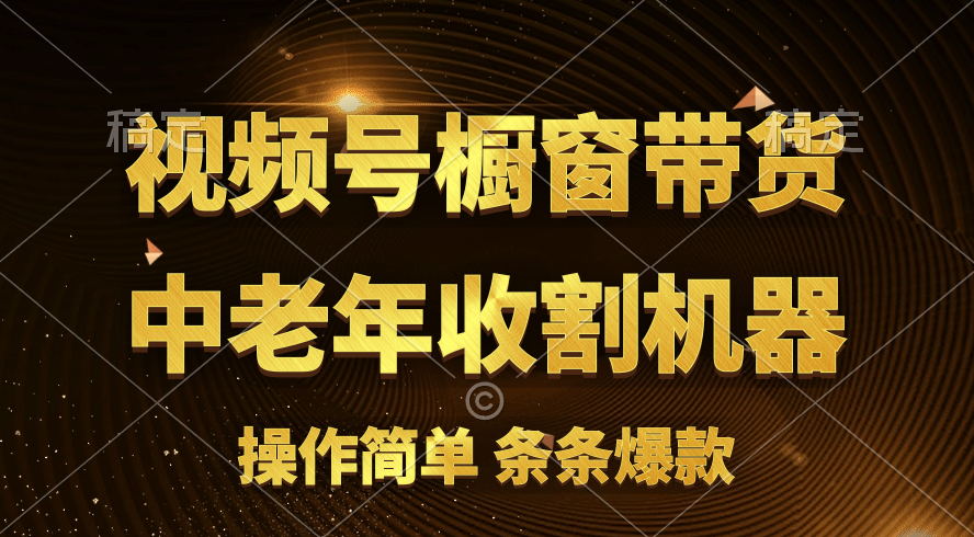 （11009期）[你的孩子成功取得高位]视频号最火爆赛道，橱窗带货，流量分成计划，条…-启航资源站