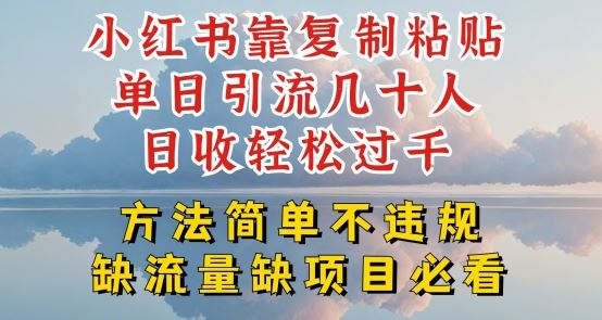 小红书靠复制粘贴单日引流几十人目收轻松过千，方法简单不违规【揭秘】-启航资源站