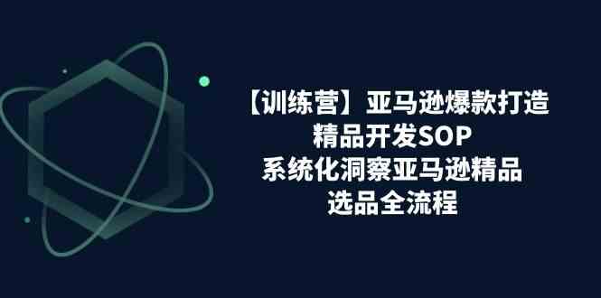 亚马逊爆款打造之精品开发SOP【训练营】，系统化洞察亚马逊精品选品全流程-启航资源站