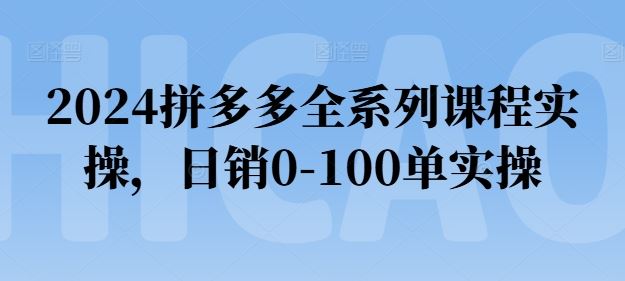 2024拼多多全系列课程实操，日销0-100单实操【必看】-启航资源站