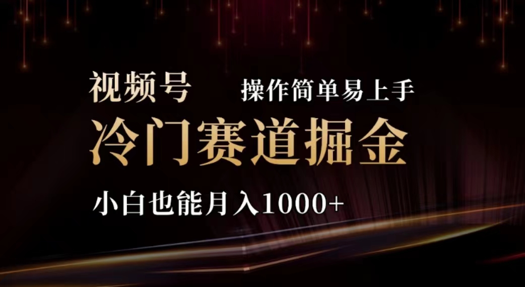 （11378期）2024视频号冷门赛道掘金，操作简单轻松上手，小白也能月入1000+-启航资源站