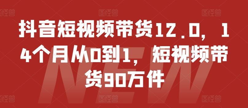 抖音短视频带货12.0，14个月从0到1，短视频带货90万件-启航资源站