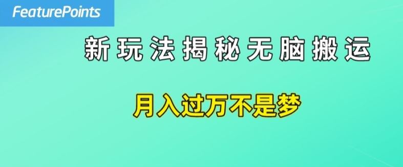 简单操作，每天50美元收入，搬运就是赚钱的秘诀【揭秘】-启航资源站