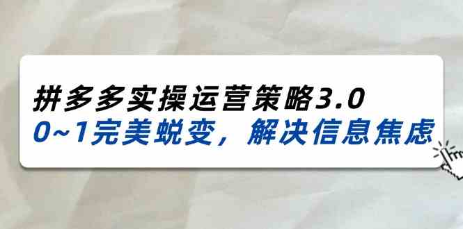 2024-2025拼多多实操运营策略3.0，0~1完美蜕变，解决信息焦虑（38节）-启航资源站