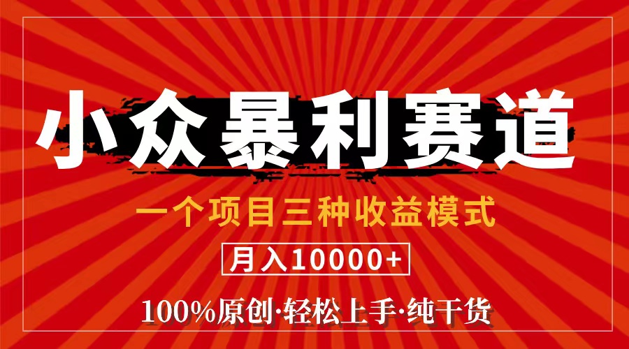 （11695期）视频号【中老年粉深信不疑】小众赛道 100%原创 手把手教学 新号3天收益…-启航资源站