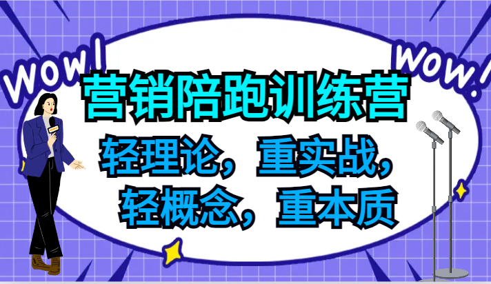 营销陪跑训练营，轻理论，重实战，轻概念，重本质，适合中小企业和初创企业的老板-启航资源站