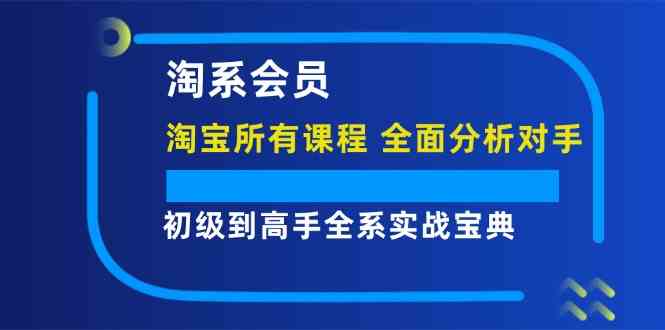 淘系会员初级到高手全系实战宝典【淘宝所有课程，全面分析对手】-启航资源站