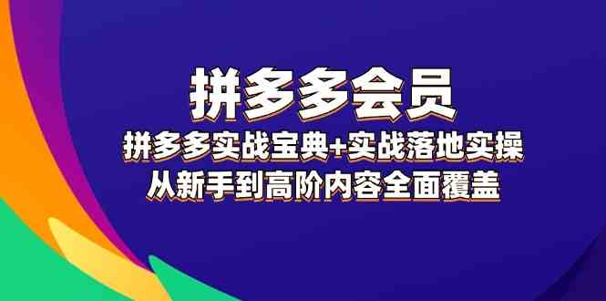 拼多多会员实战宝典+实战落地实操，从新手到高阶内容全面覆盖-启航资源站