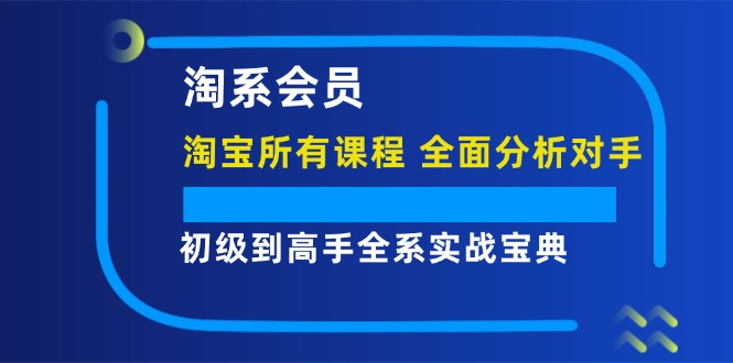 （12055期）淘系会员【淘宝所有课程，全面分析对手】，初级到高手全系实战宝典-启航资源站