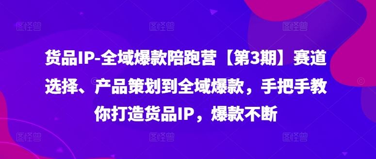 货品IP全域爆款陪跑营【第3期】赛道选择、产品策划到全域爆款，手把手教你打造货品IP，爆款不断-启航资源站