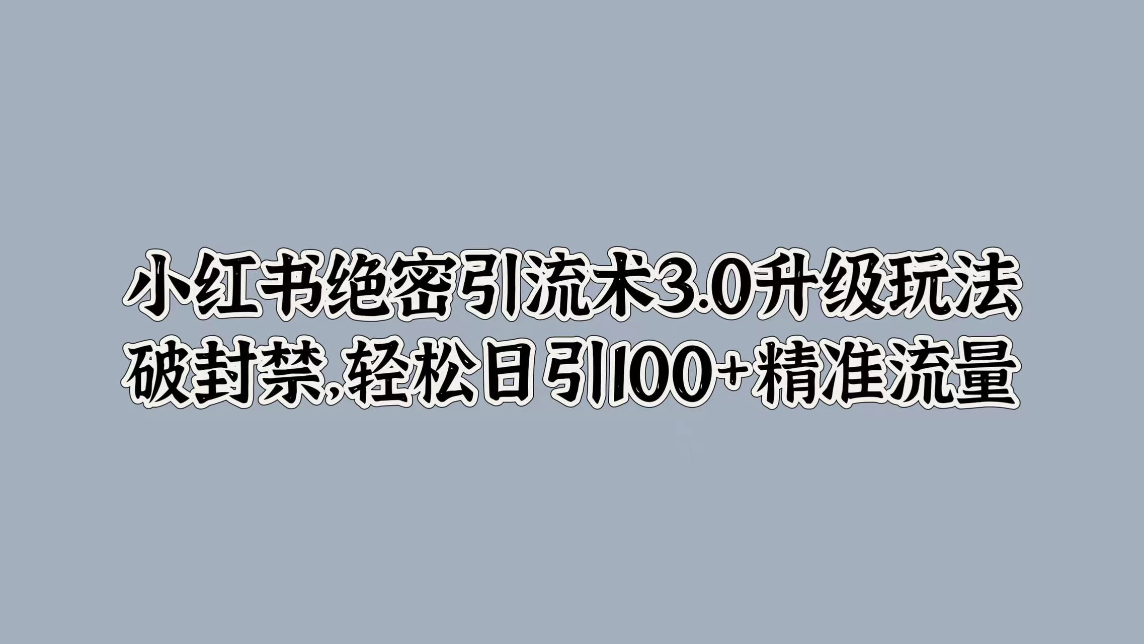 小红书绝密引流术3.0升级玩法，破封禁，轻松日引100+精准流量-启航资源站