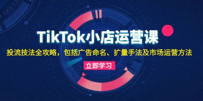 （13063期）TikTok小店运营课：投流技法全攻略，包括广告命名 扩量手法及市场运营方法-启航资源站