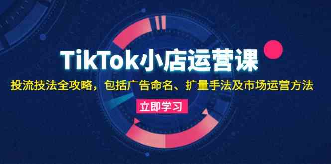 TikTok小店运营课：投流技法全攻略，包括广告命名 扩量手法及市场运营方法-启航资源站