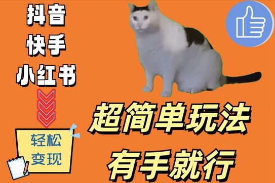 超简单玩法，有手就行，靠猫咪视频日入500+【揭秘】-启航资源站