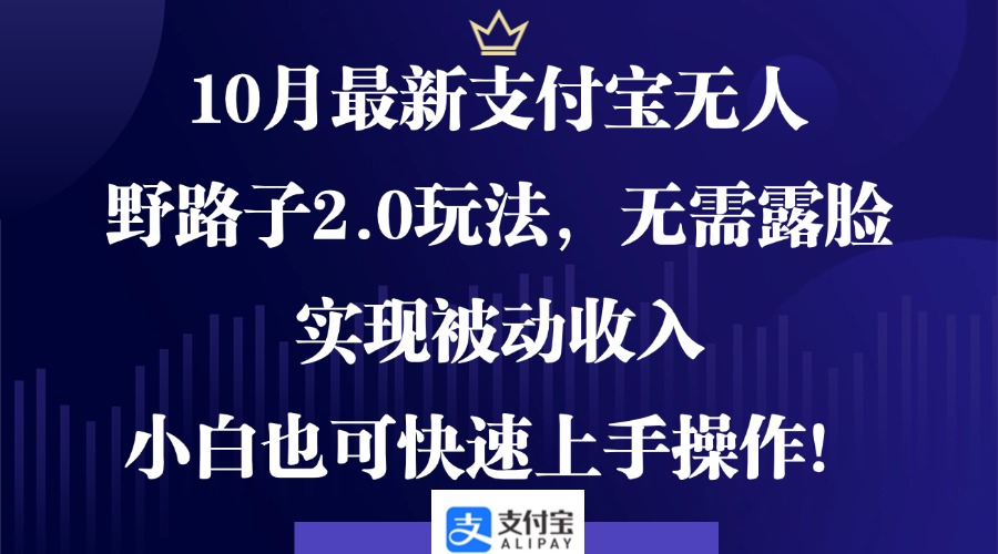 （12824期）10月最新支付宝无人野路子2.0玩法，无需露脸，实现被动收入，小白也可…-启航资源站