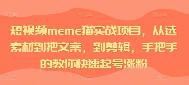 短视频meme猫实战项目，从选素材到把文案，到剪辑，手把手的教你快速起号涨粉-启航资源站