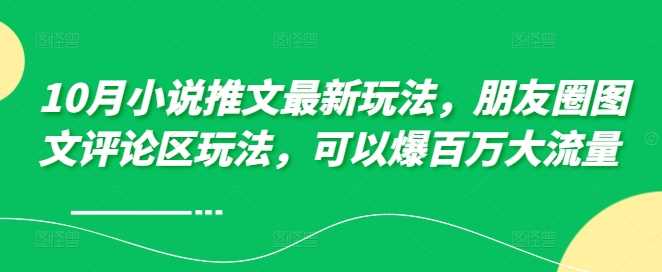 10月小说推文最新玩法，朋友圈图文评论区玩法，可以爆百万大流量-启航资源站