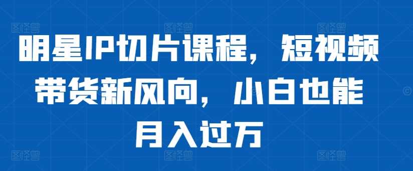 明星IP切片课程，短视频带货新风向，小白也能月入过万-启航资源站