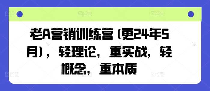 老A营销训练营(更24年10月)，轻理论，重实战，轻概念，重本质-启航资源站