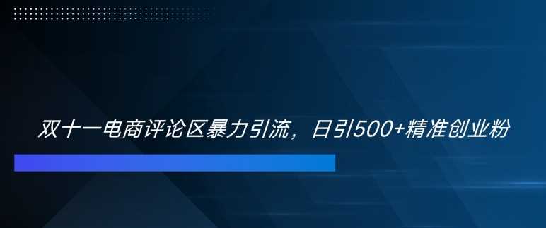 双十一电商评论区暴力引流，日引500+精准创业粉【揭秘】-启航资源站