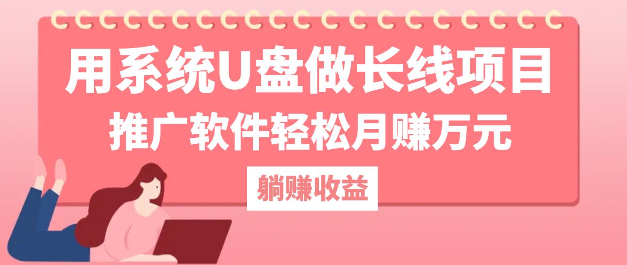 用系统U盘做长线项目，推广软件轻松月赚万元-启航资源站