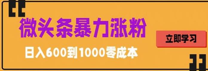 微头条暴力涨粉技巧搬运文案就能涨几万粉丝，简单0成本，日赚600-启航资源站