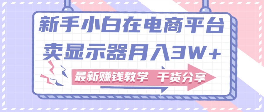 新手小白如何做到在电商平台卖显示器月入3W，最新赚钱教学干货-启航资源站