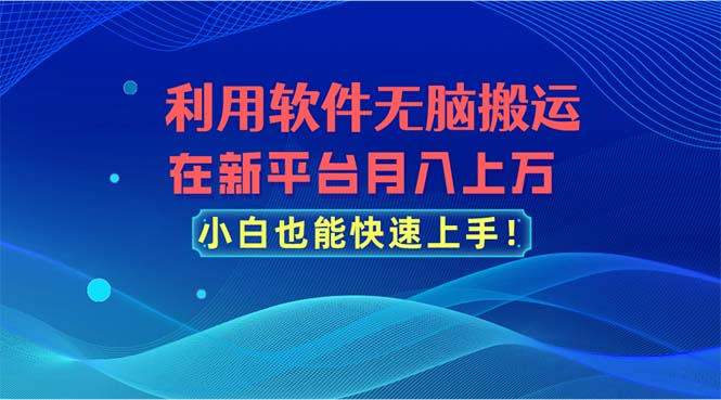 利用软件无脑搬运，在新平台月入上万，小白也能快速上手-启航资源站