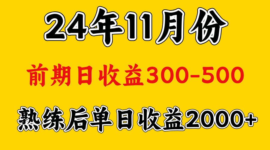 轻资产项目，前期日收益500左右，后期日收益1500-2000左右，多劳多得-启航资源站