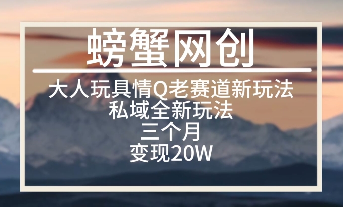 大人玩具情Q用品赛道私域全新玩法，三个月变现20W，老项目新思路-启航资源站