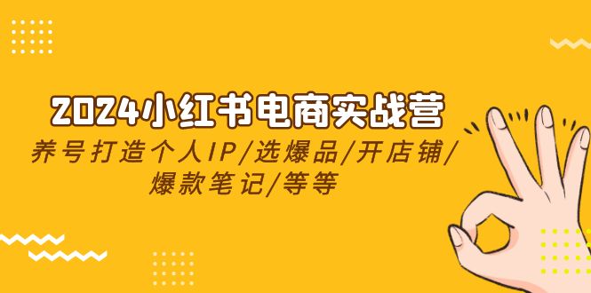 （10376期）2024小红书电商实战营，养号打造IP/选爆品/开店铺/爆款笔记/等等（24节）-启航资源站