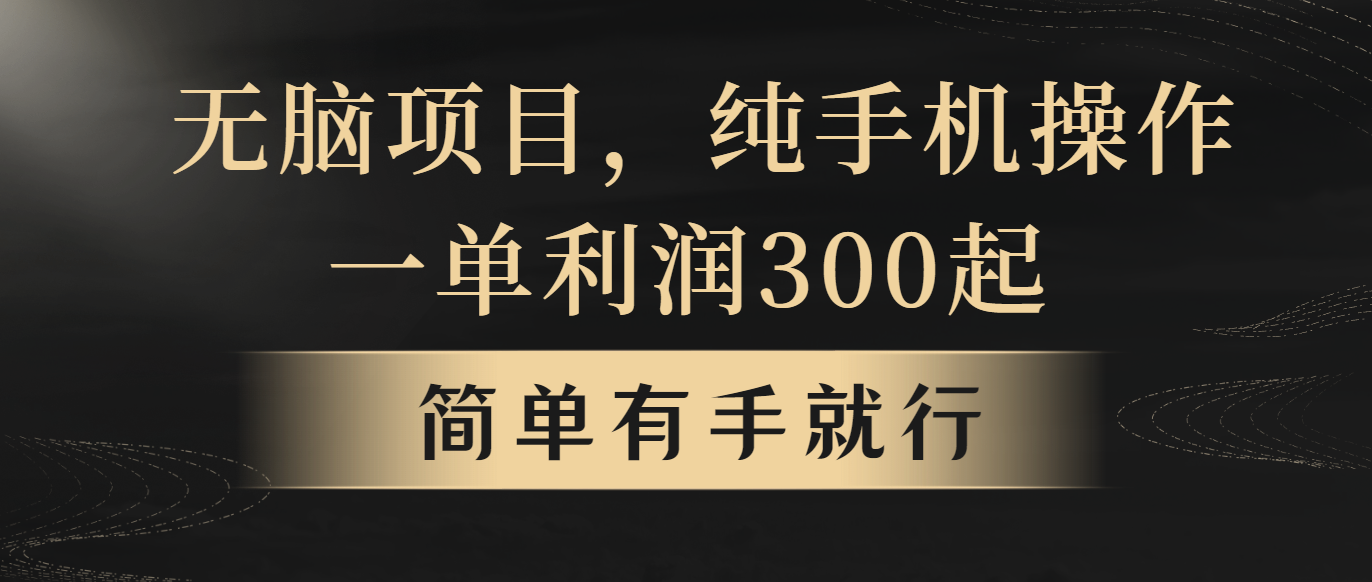 （10589期）无脑项目，一单几百块，轻松月入5w+，看完就能直接操作-启航资源站