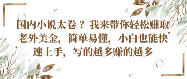 国内小说太卷 ?带你轻松赚取老外美金，简单易懂，小白也能快速上手，写的越多赚的越多-启航资源站