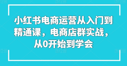 小红书电商运营从入门到精通课，电商店群实战，从0开始到学会-启航资源站