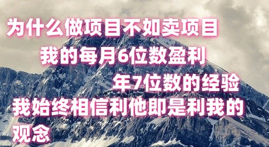 做项目不如卖项目，每月6位数盈利，年7位数经验-启航资源站