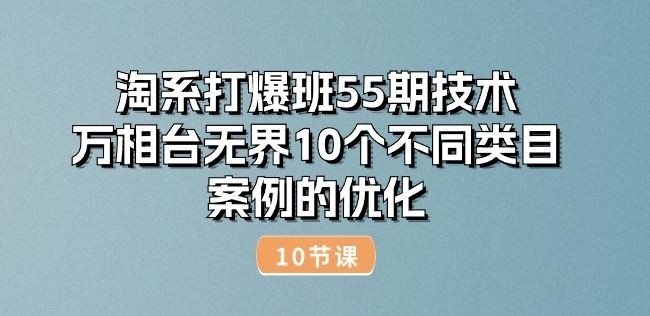 淘系打爆班55期技术：万相台无界10个不同类目案例的优化(10节)-启航资源站