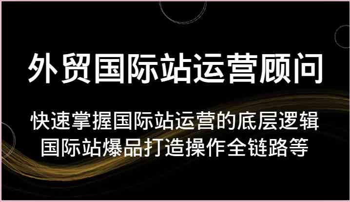 外贸国际站运营顾问-快速掌握国际站运营的底层逻辑，国际站爆品打造操作全链路等-启航资源站