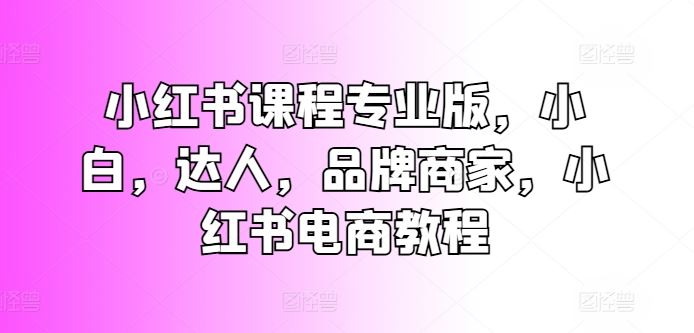 小红书课程专业版，小白，达人，品牌商家，小红书电商教程-启航资源站