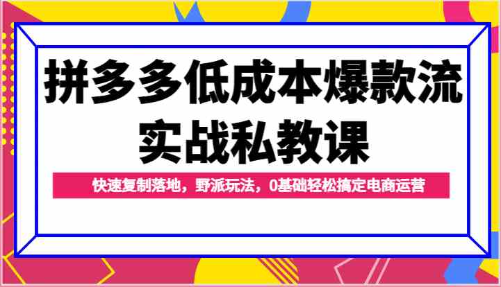 拼多多低成本爆款流实战私教课，快速复制落地，野派玩法，0基础轻松搞定电商运营-启航资源站