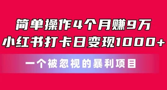 简单操作4个月赚9w，小红书打卡日变现1k，一个被忽视的暴力项目【揭秘】-启航资源站